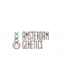 Amsterdam Genetics 